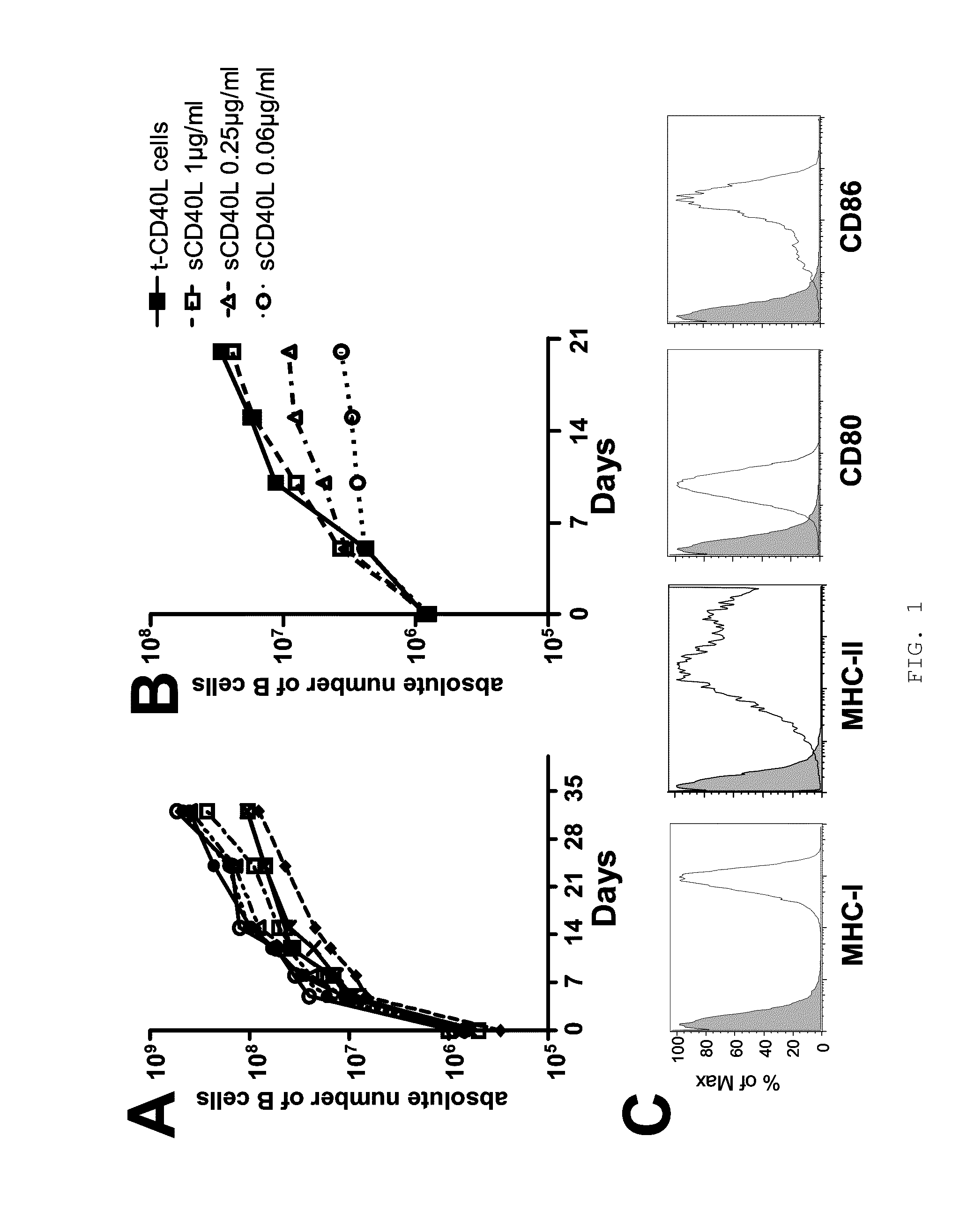 Method to induce and expand therapeutic alloantigen-specific human regulatory T cells in large-scale