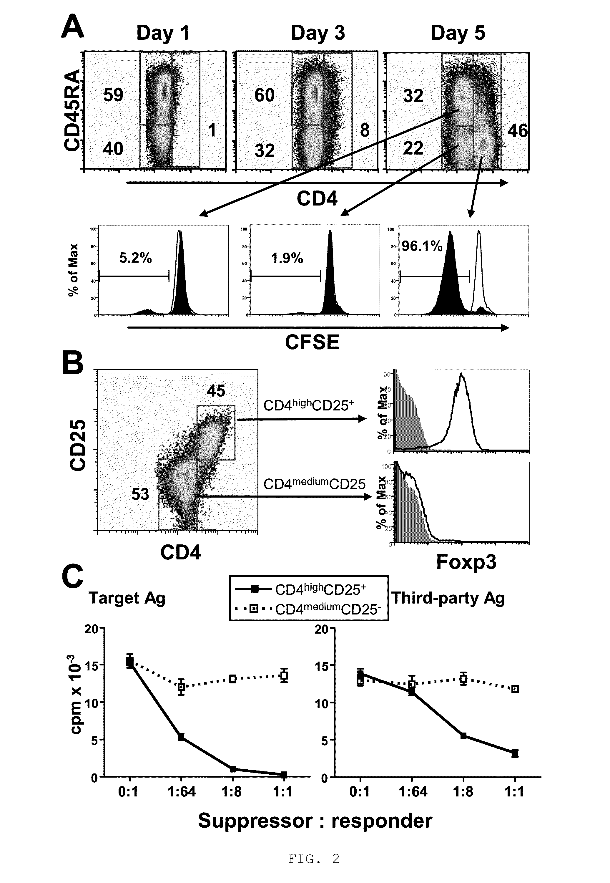 Method to induce and expand therapeutic alloantigen-specific human regulatory T cells in large-scale