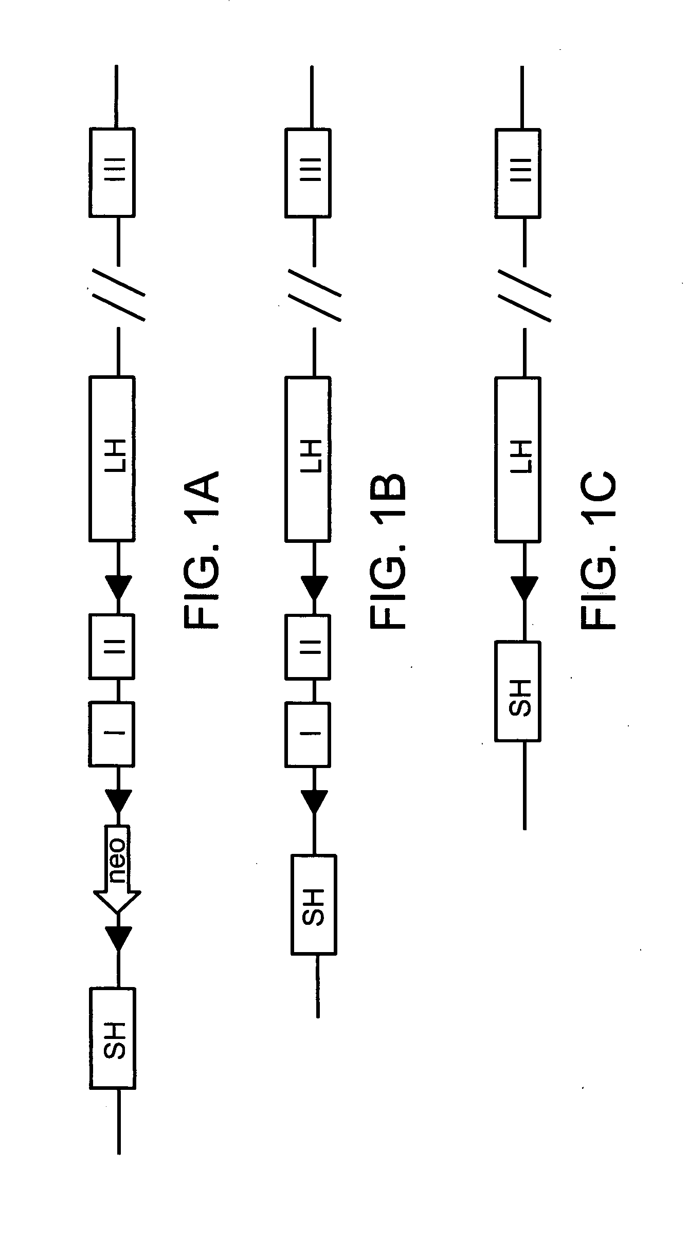 Methods of killing cells and use of same in prevention and treatment of cancer