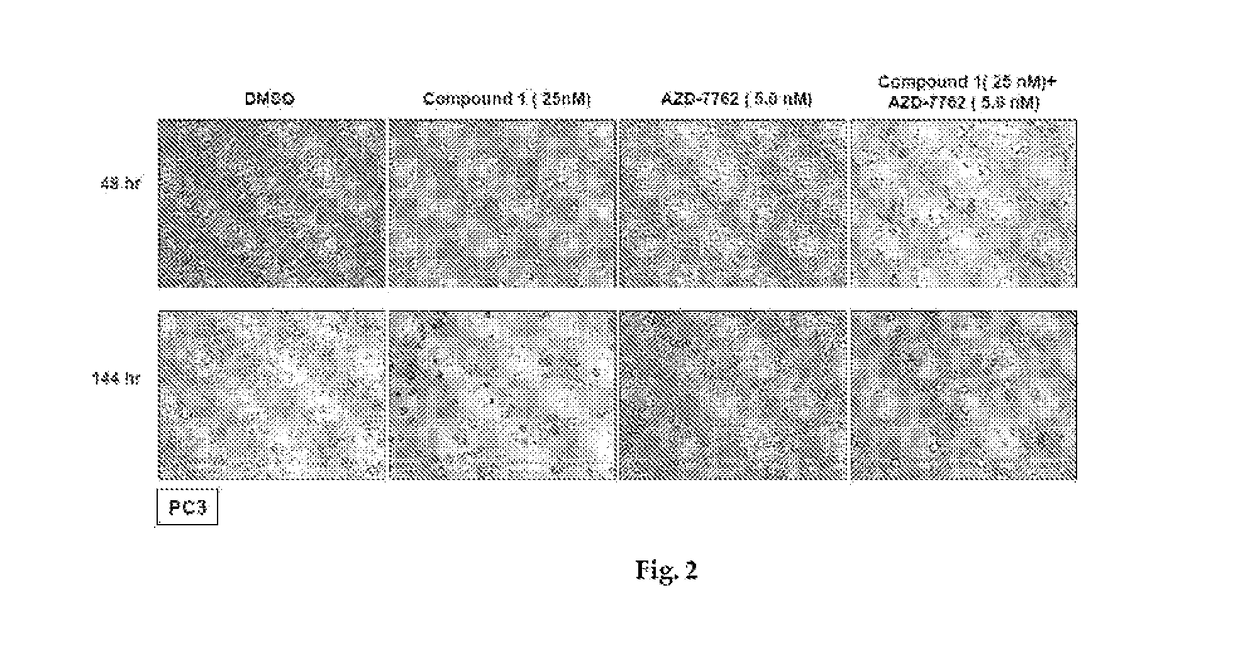 Combination therapy of hsp90 inhibitory compounds with CHK inhibitors