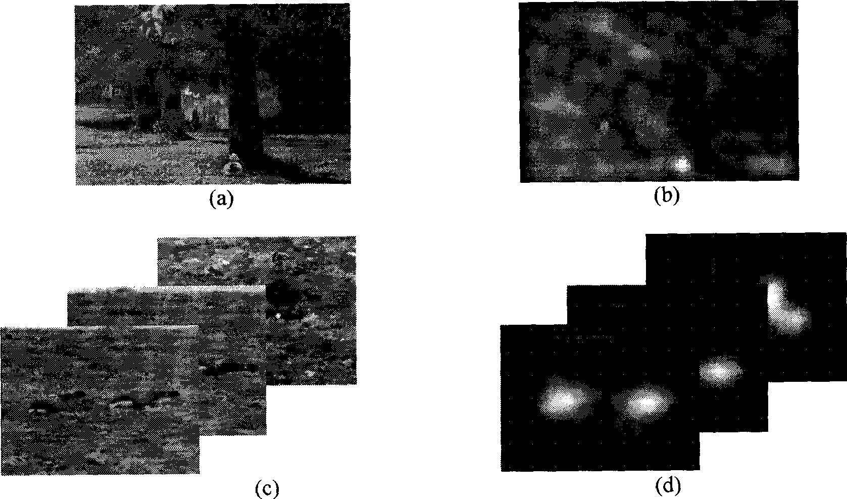 Method for automatically estimating visual significance of image and video