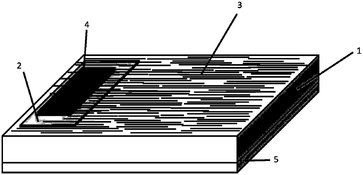 A self-driven near-infrared photodetector based on a quasi-one-dimensional nanostructure of copper sulfate potassium and its preparation method