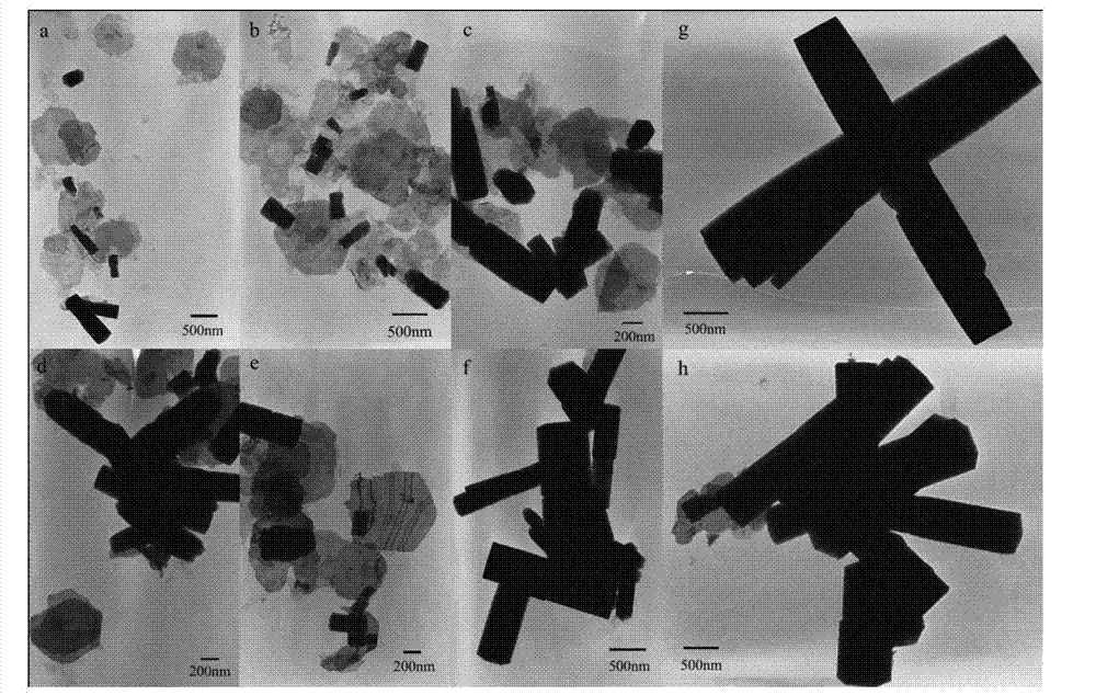 Preparation method of ZnO nanocrystals