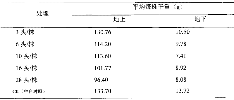 Method for artificially raising epiblema strenuana