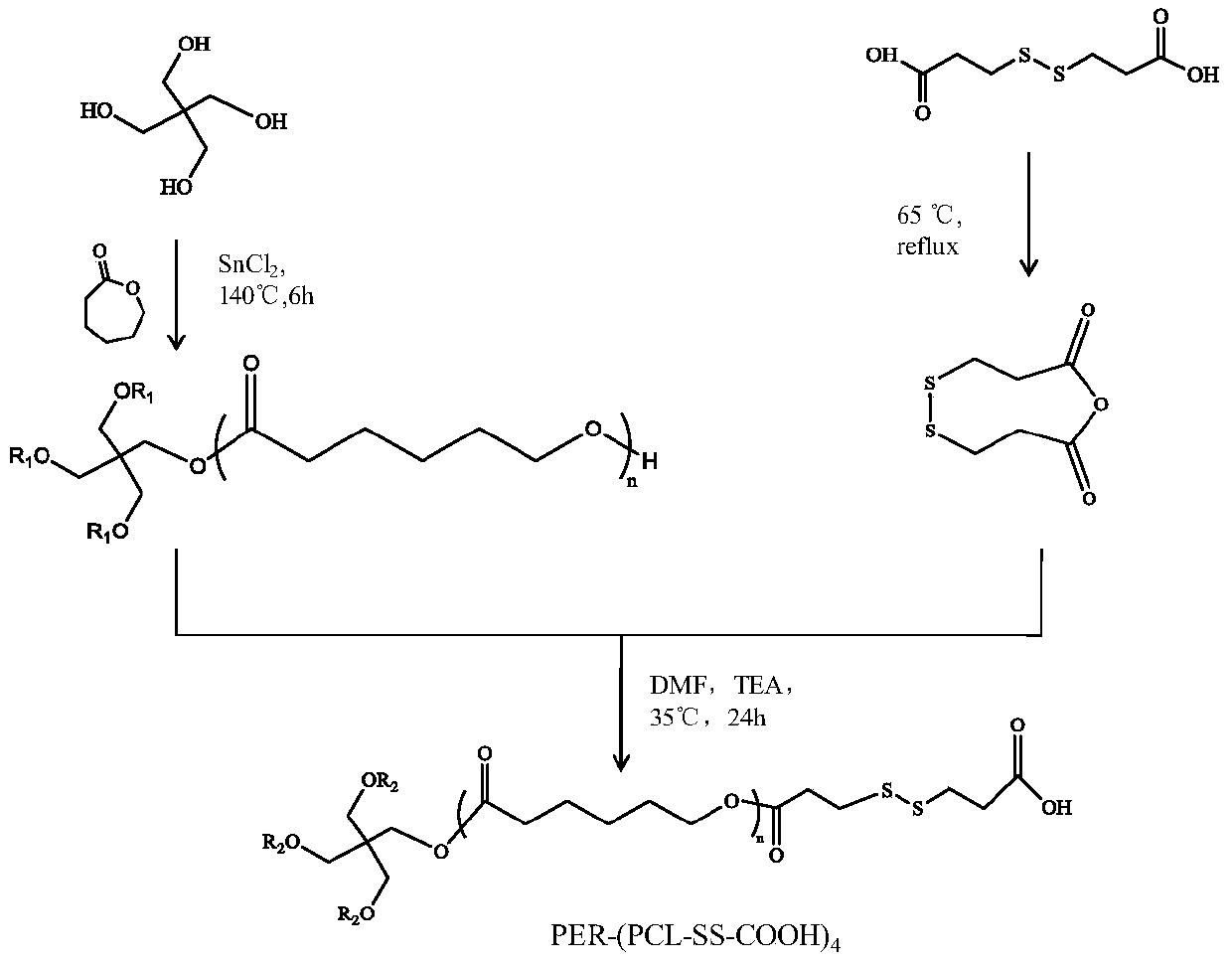 Active targeting star polymer carrier with physiological environment response function and preparation method thereof