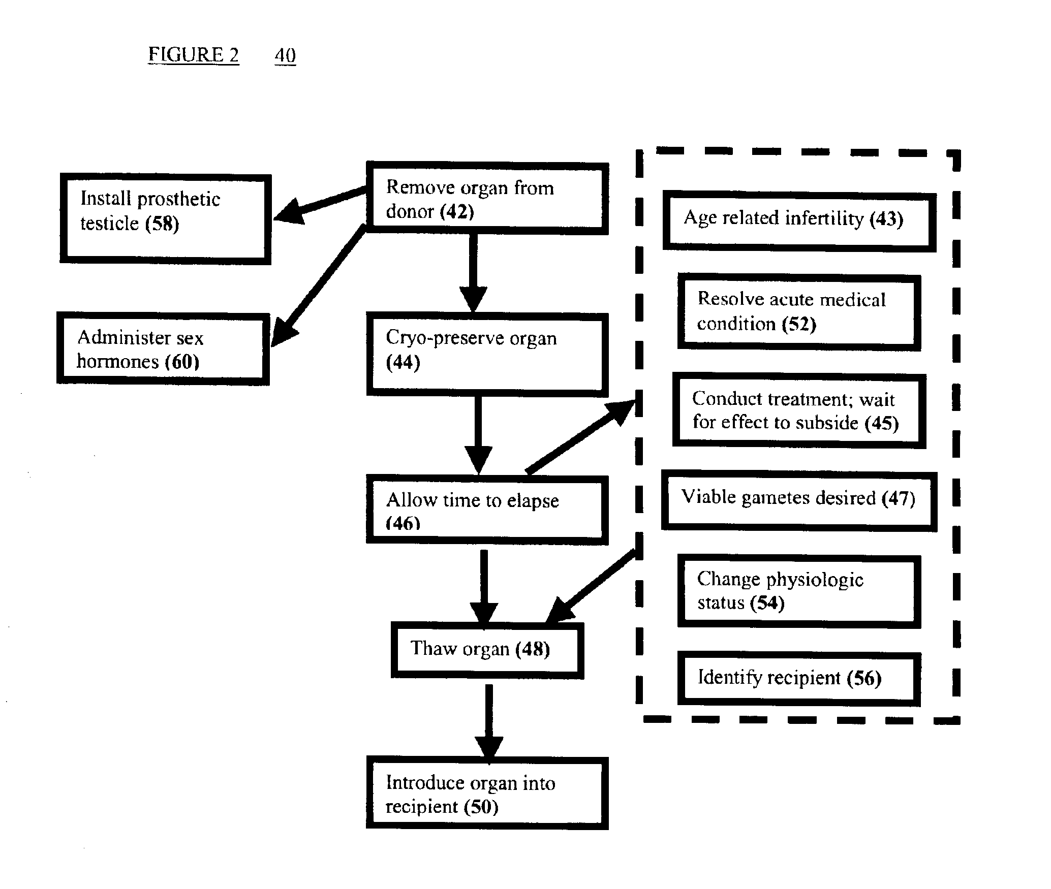 Methods of preserving functionality of an ovary, preserving fertility of a patient undergoing a treatment expected to cause sterility and assuring a supply of viable gametes for future use