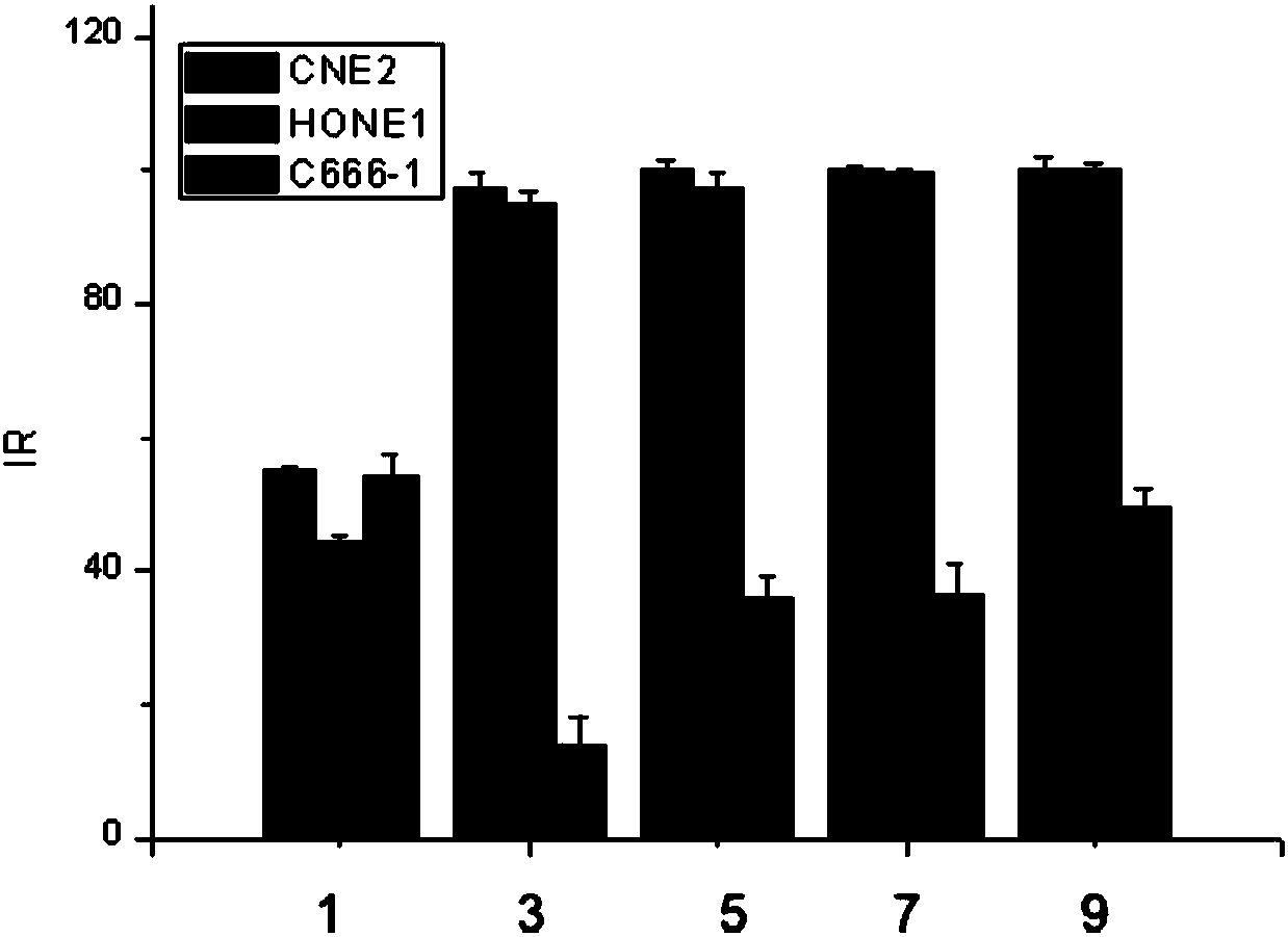 NK/T cell line of human