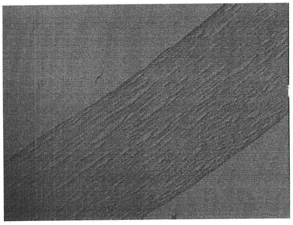 Method for preparing bovine cornea stroma from fresh bovine cornea and application method