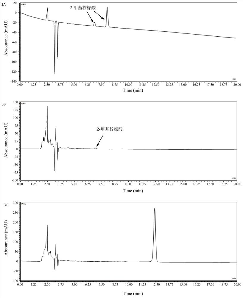 A kind of 2-methyl citrate high-yielding genetically engineered bacteria and its construction method