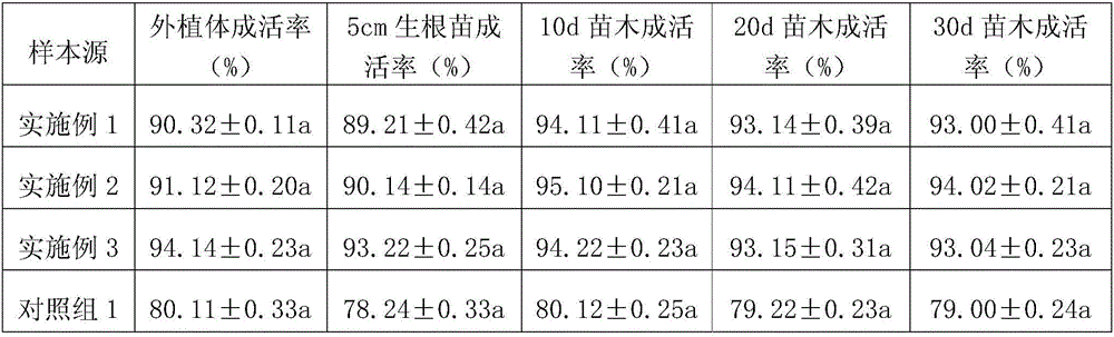 Tissue culture method for improving survival rate of bananas