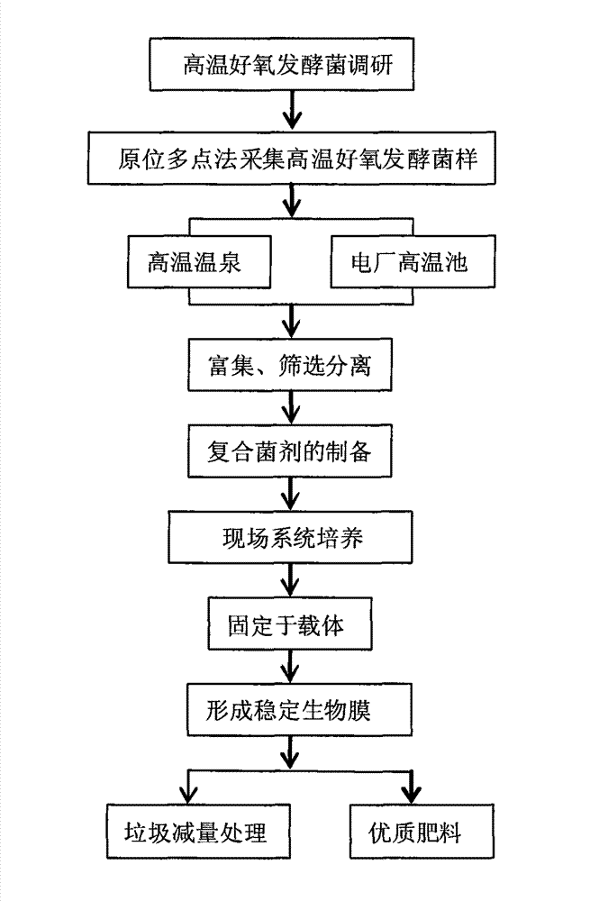 High temperature aerobic fermentation bacteria and application of high temperature aerobic fermentation bacteria in quantitative reduction and resource recovery of domestic garbage, sludge and other solid waste