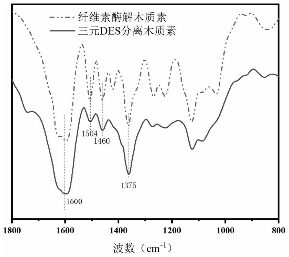 Method for rapidly separating lignin with high yield by using green solvent