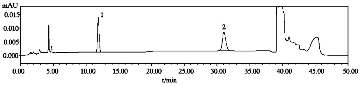 Extracting method for hyoscyamine and scopolamine in prescription preparation