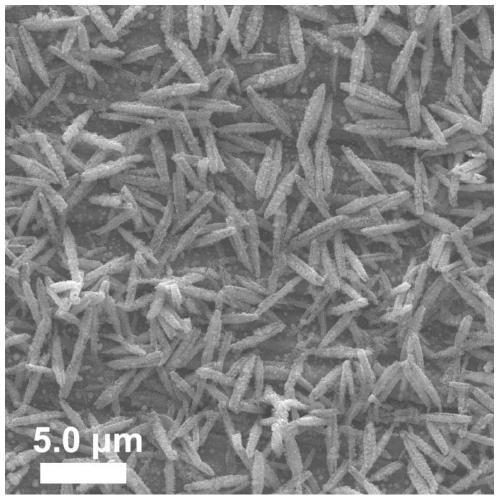 Preparation method of fusiform platinum nanoparticles