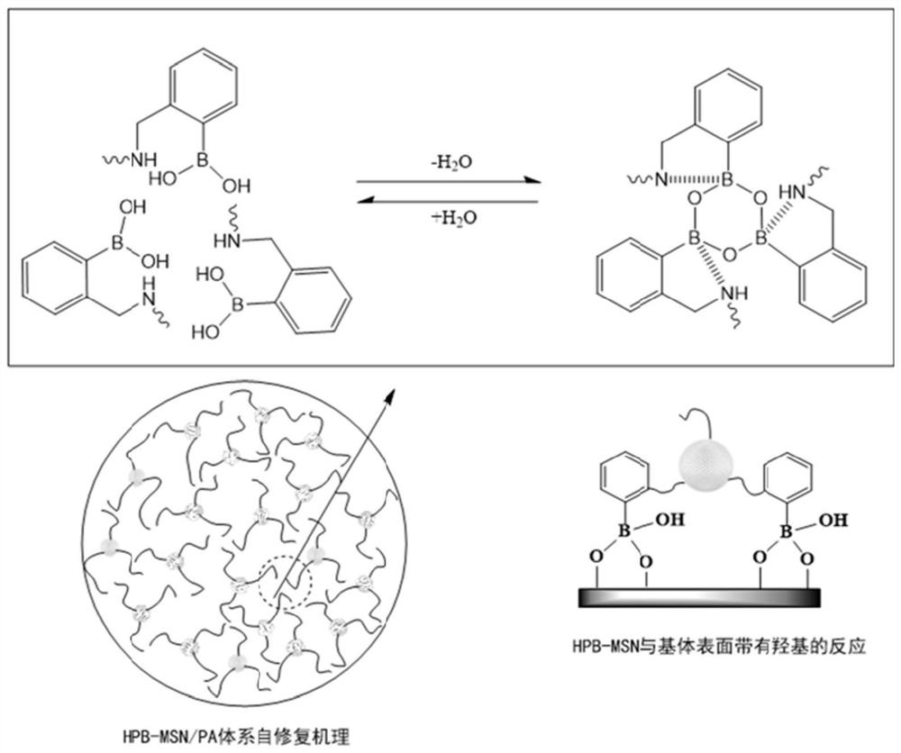 Self-repairing, breathable and wear-resisting composite coating and preparation method and application thereof