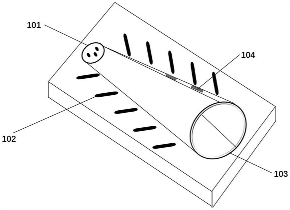 Excrement and urine separating and collecting device and using method thereof