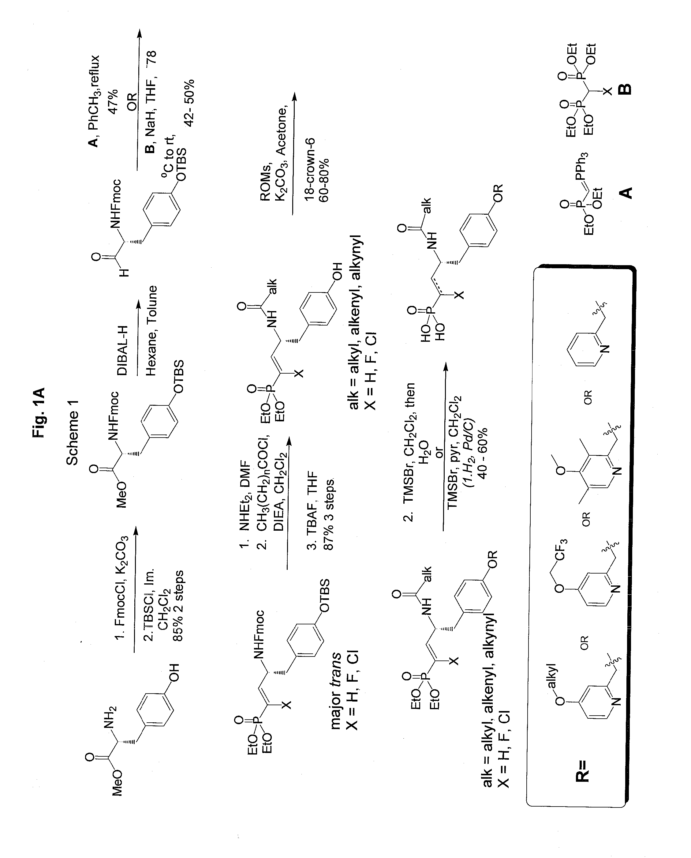 Vinyl phosphonate lysophosphatidic acid receptor antagonists