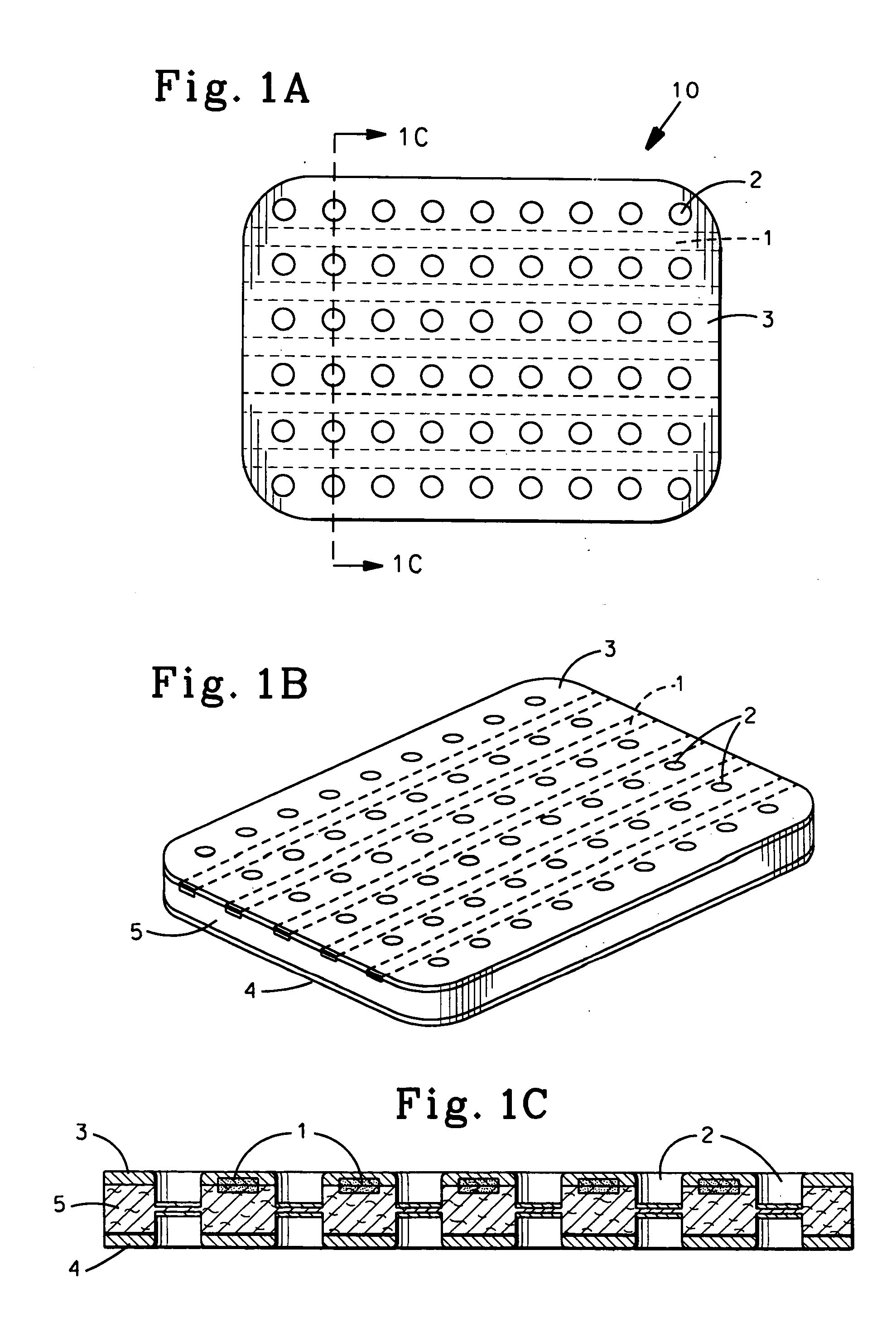 Cleansing compositions