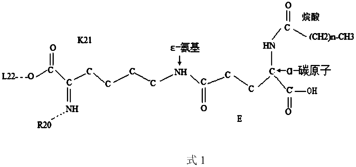 Novel ghrelin-like peptide dimer and its application