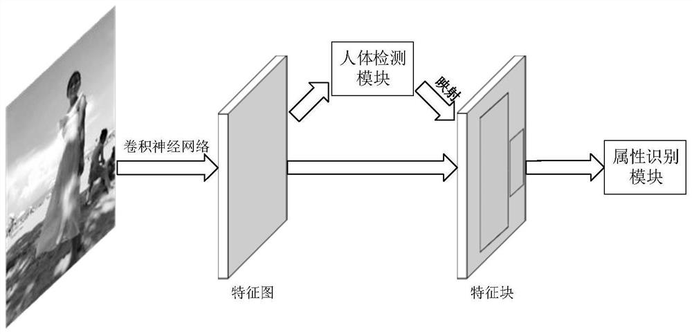 An end-to-end human detection and attribute recognition method