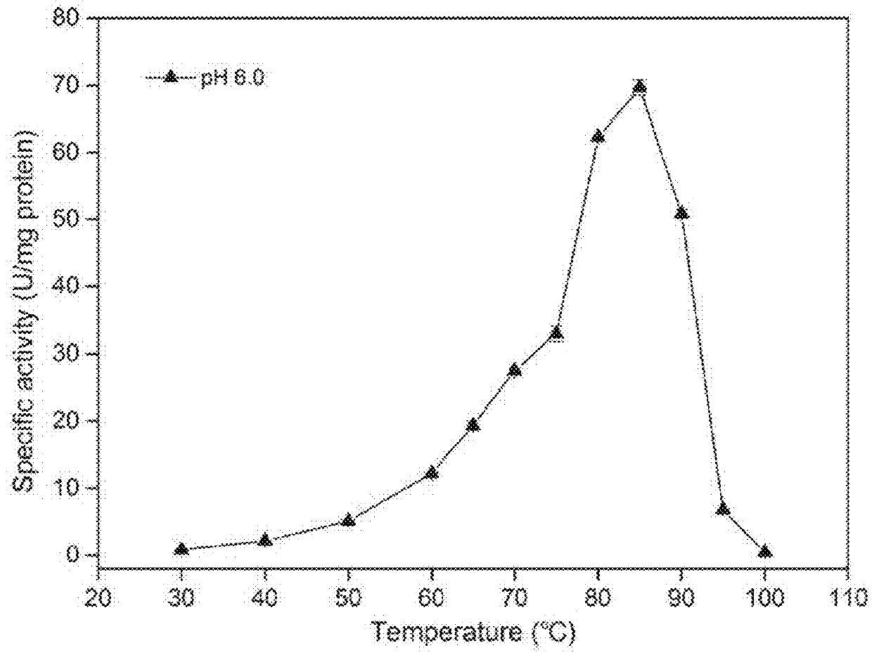 Thermostable beta-xylosidase belonging to GH family 3