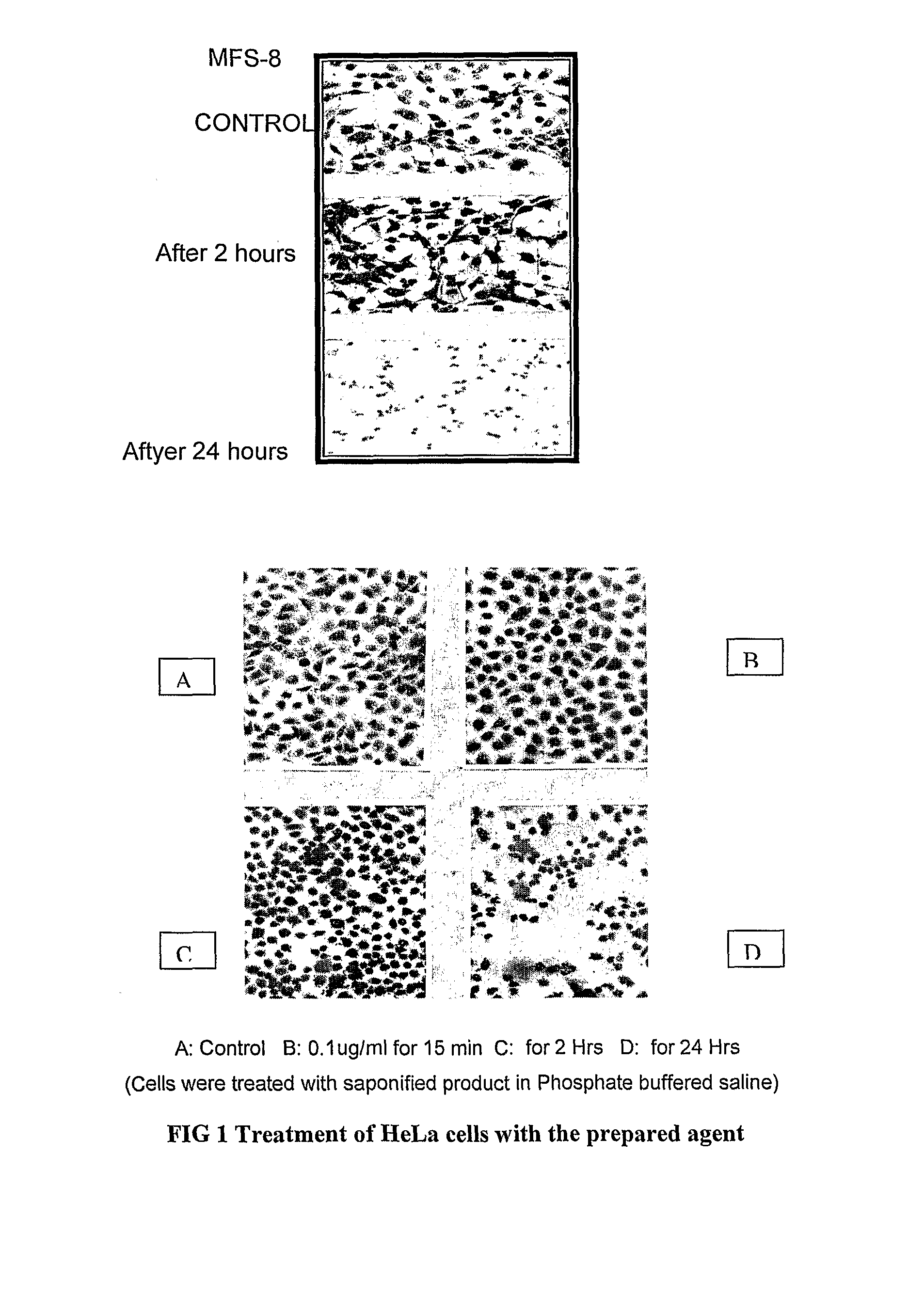 Novel agents for treatment of ailments and dysfunctions