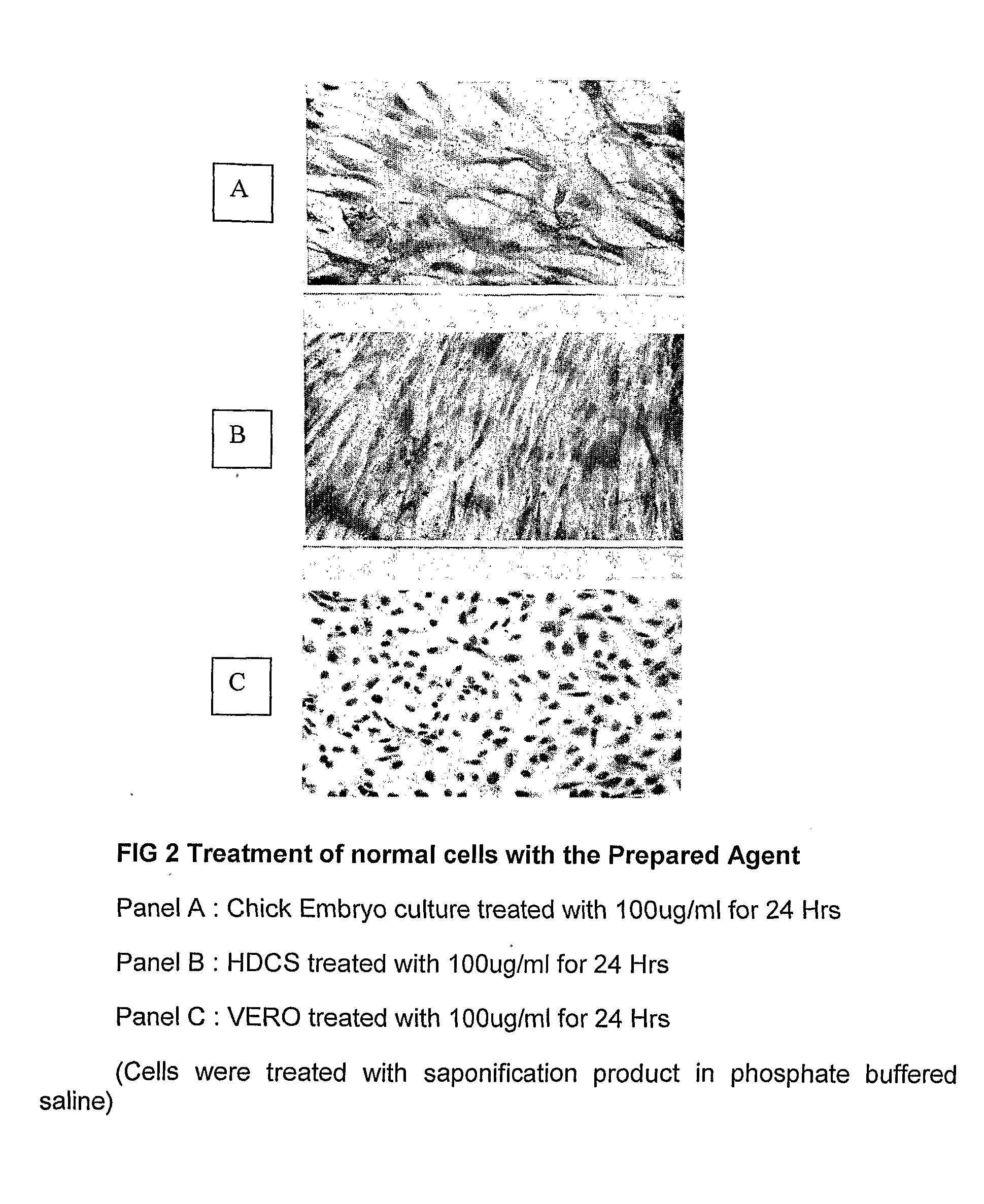 Novel agents for treatment of ailments and dysfunctions