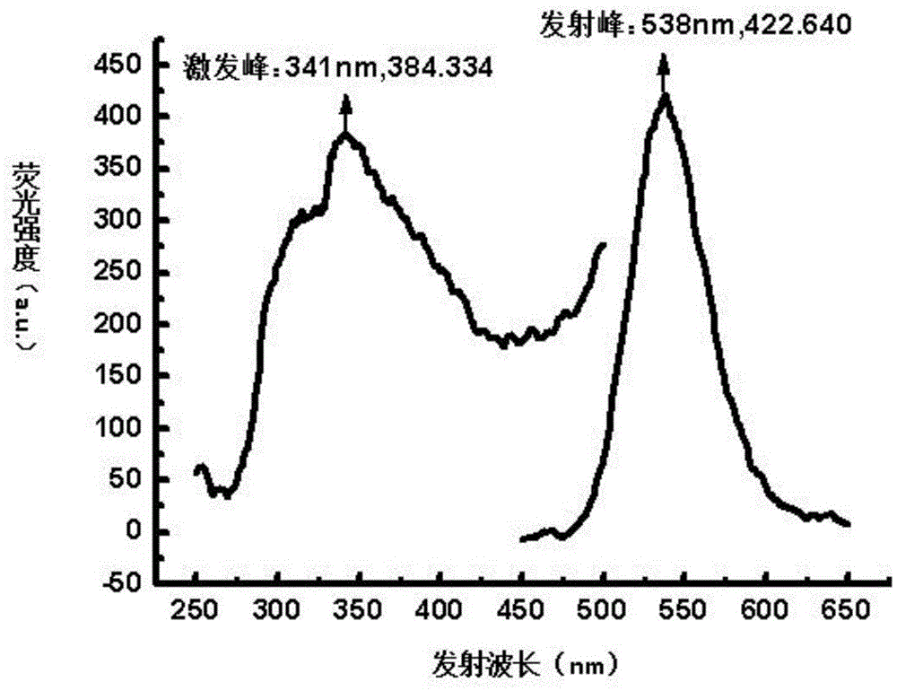 Novel fluorescence lipidosome nano probe and preparing method thereof