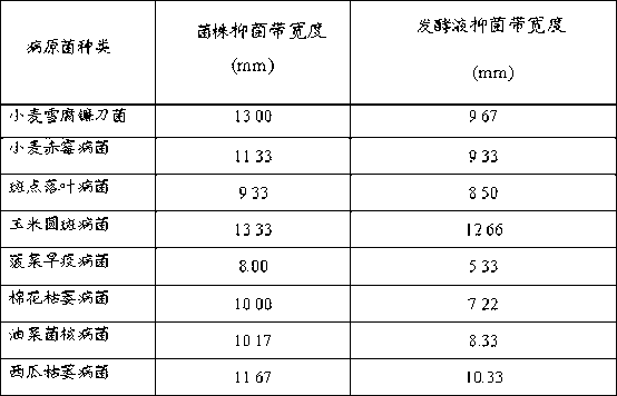 Streptomyces mediolani ZW-1 bacterial strain, and bacteriostatic application of fermentation broth thereof