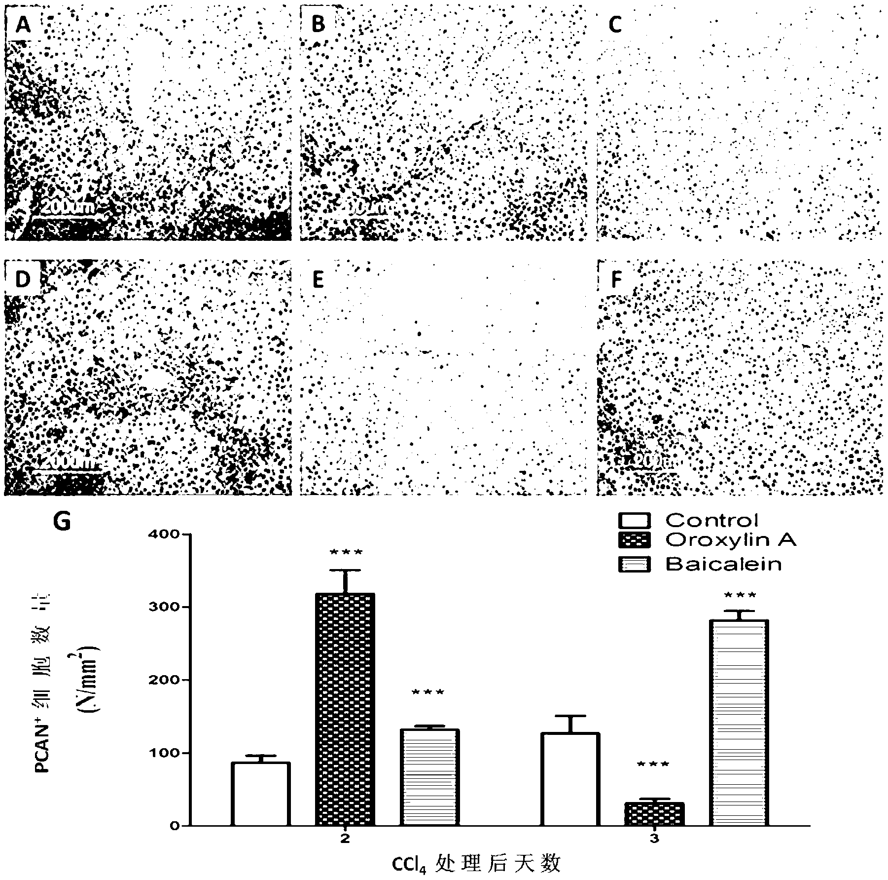 Application of Oroxylin A