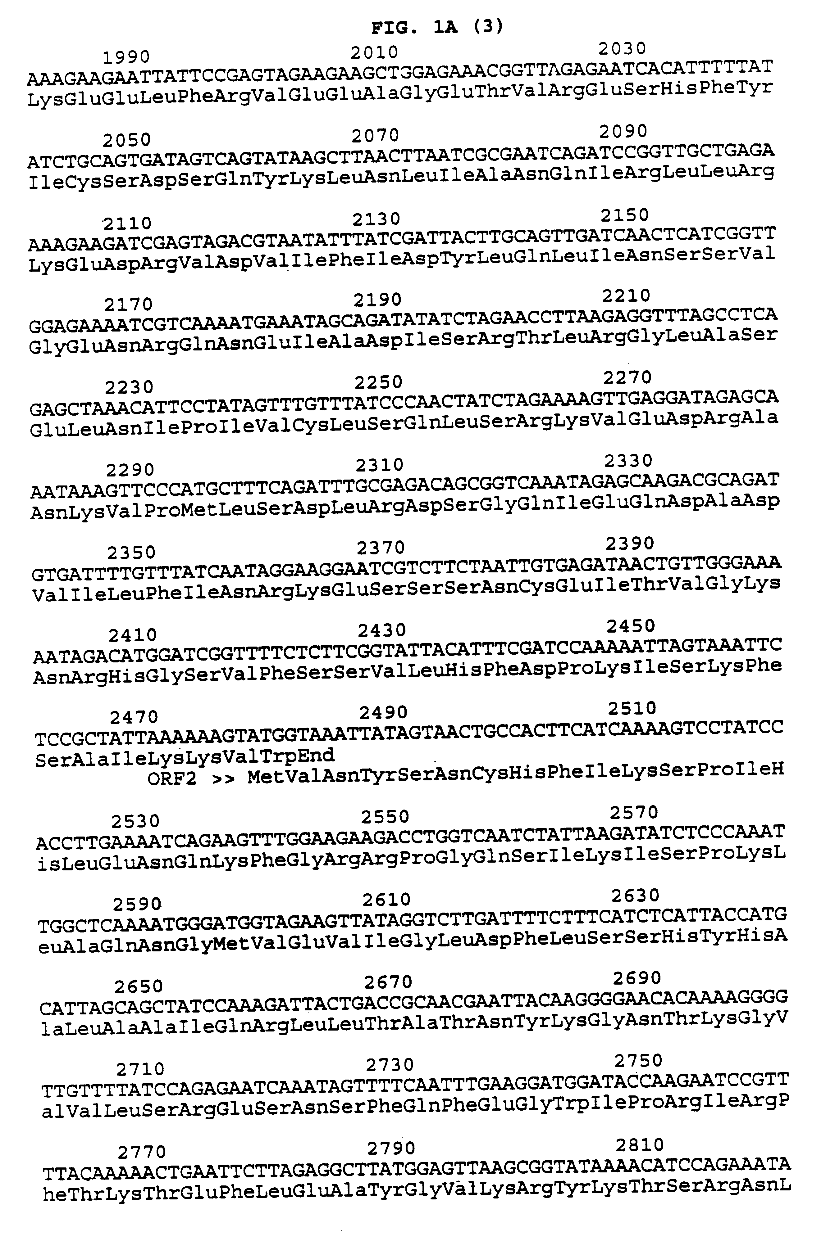 Chlamydia trachomatis serotype D genes