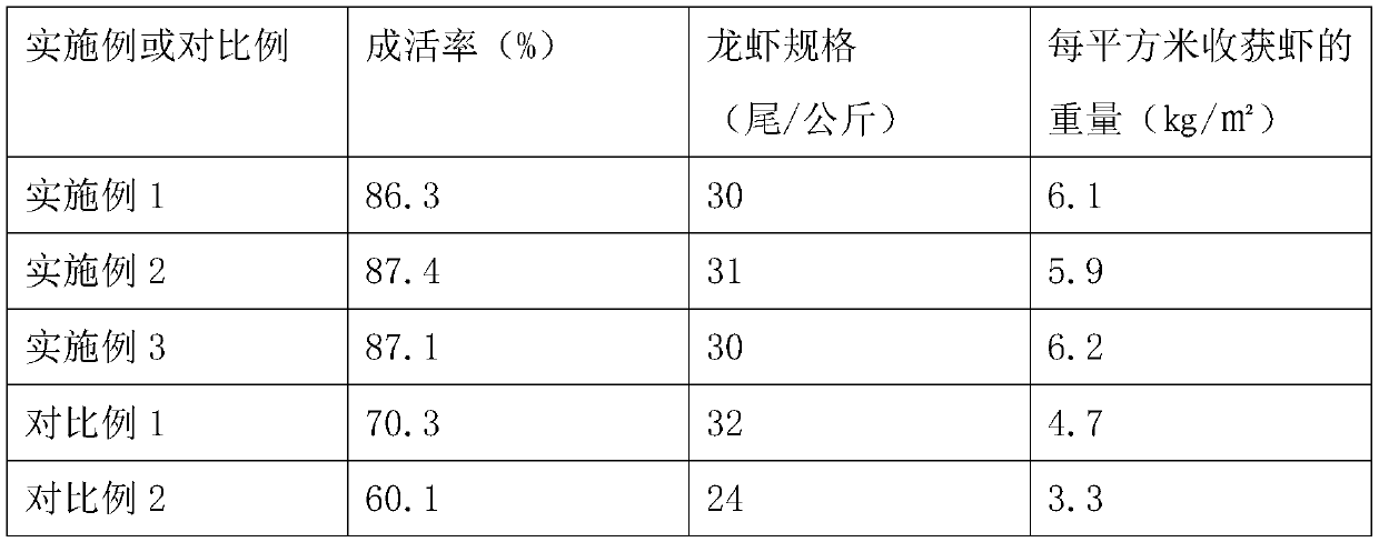 Lobster cultivation method based on rice fields and lotus roots