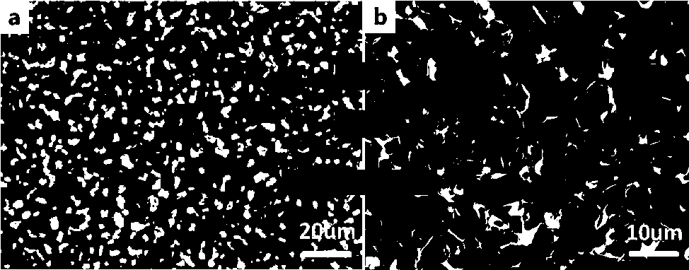 Preparation method of resistance-controllable silicon carbide ceramic