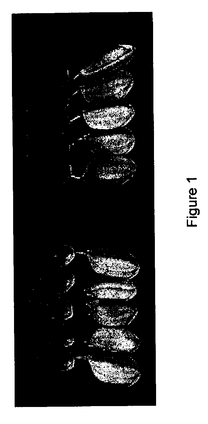 Rice Mutant Allele