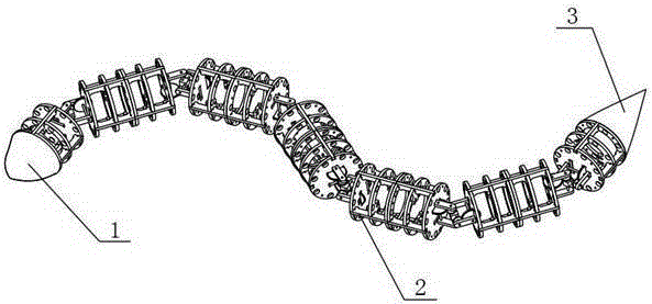 Eel-like underwater multi-freedom-degree robot