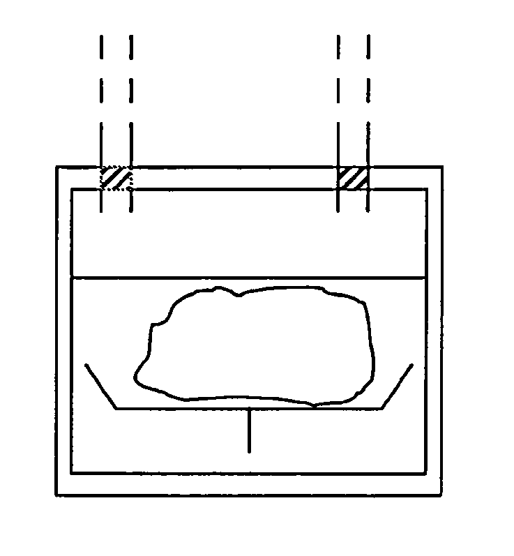 Bioreactors, systems, and methods for producing and/or analyzing organs