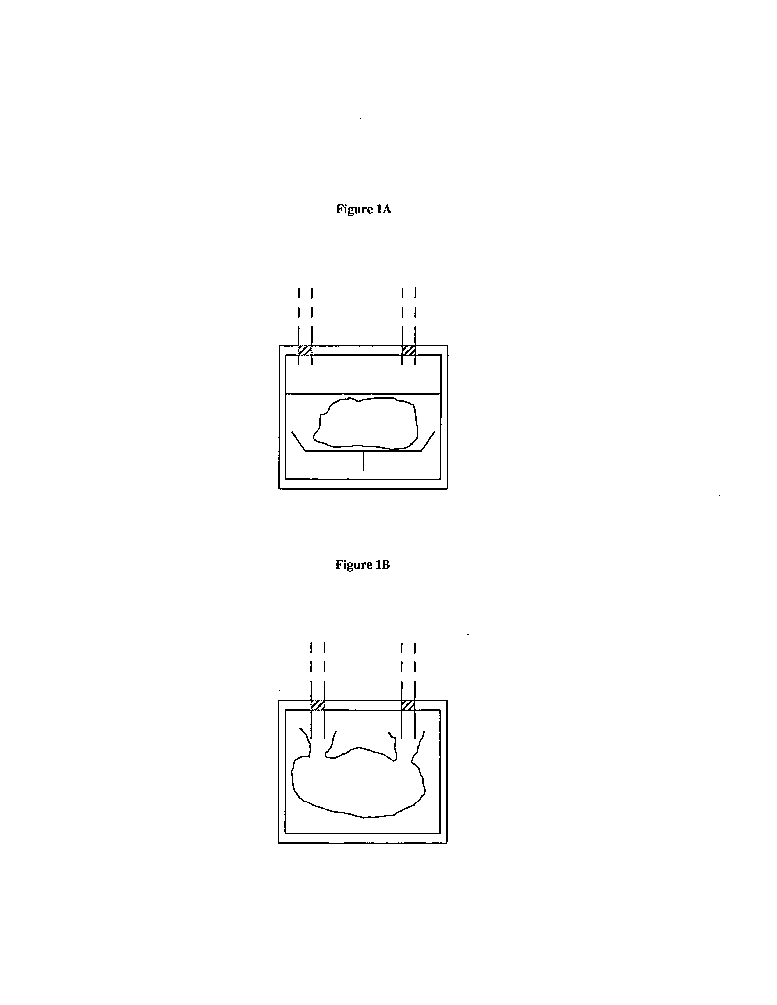 Bioreactors, systems, and methods for producing and/or analyzing organs