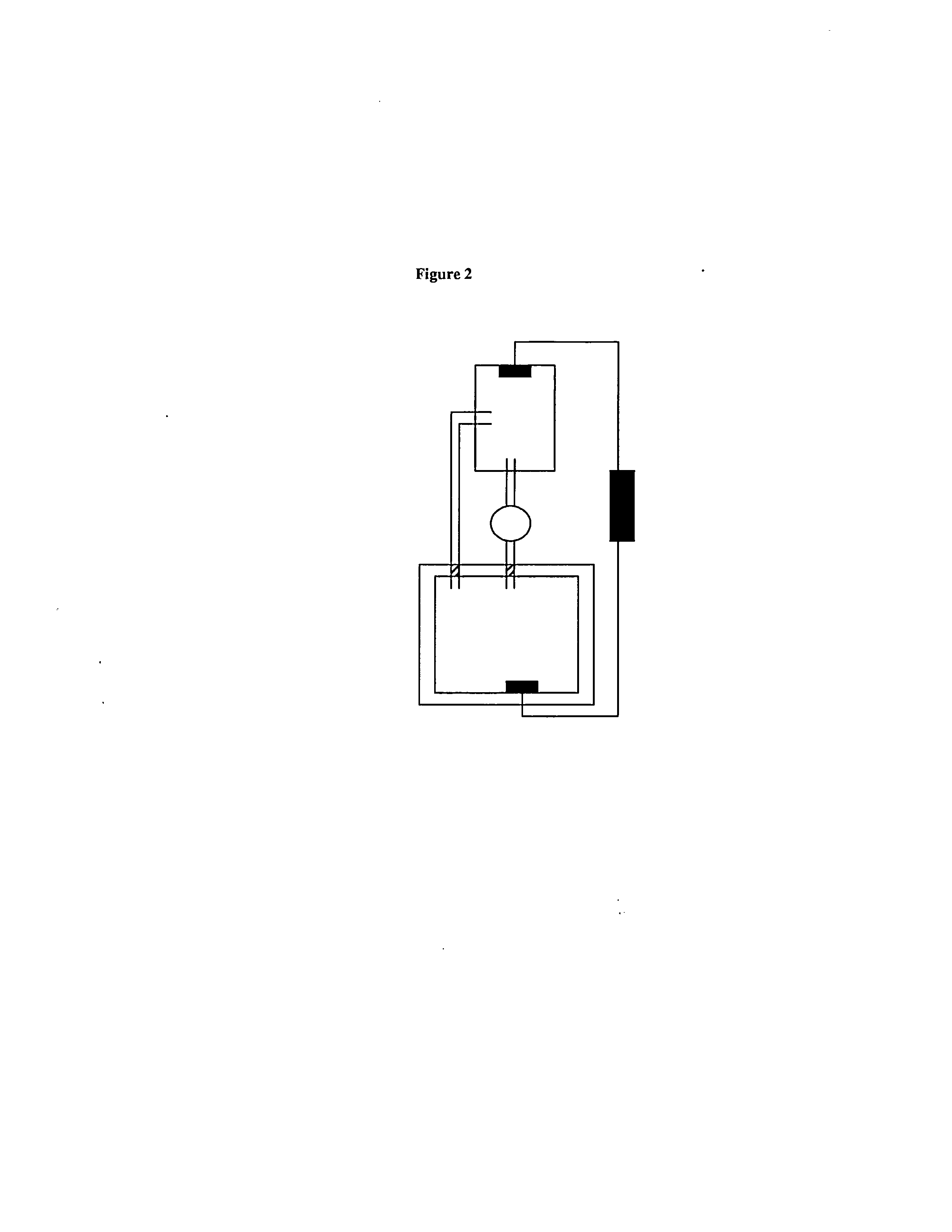 Bioreactors, systems, and methods for producing and/or analyzing organs