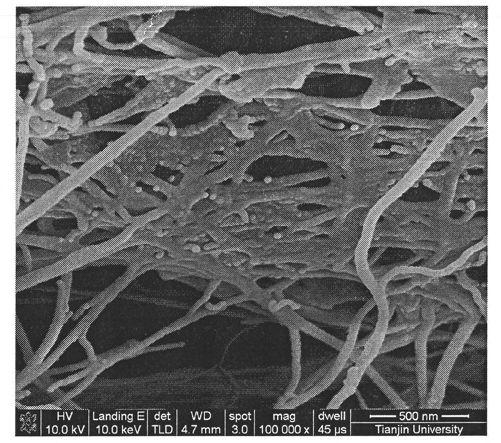 Bacterial cellulose-inorganic nanoparticle hybrid membrane and preparation method thereof