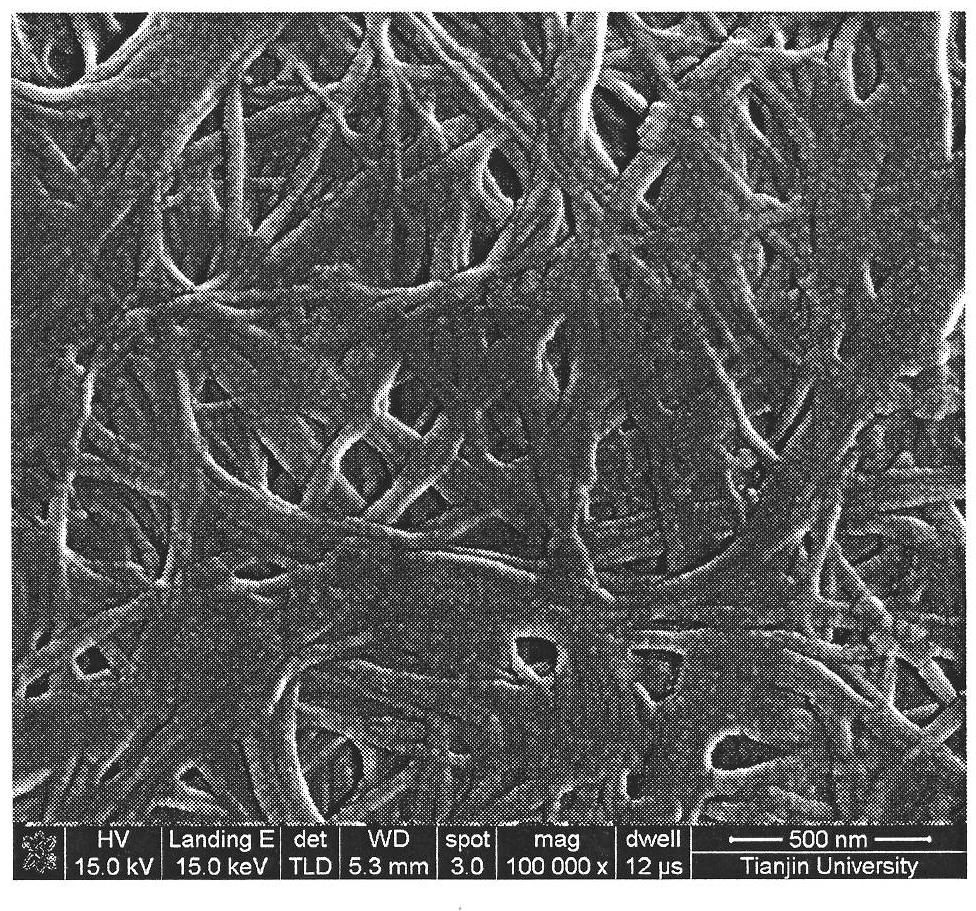 Bacterial cellulose-inorganic nanoparticle hybrid membrane and preparation method thereof