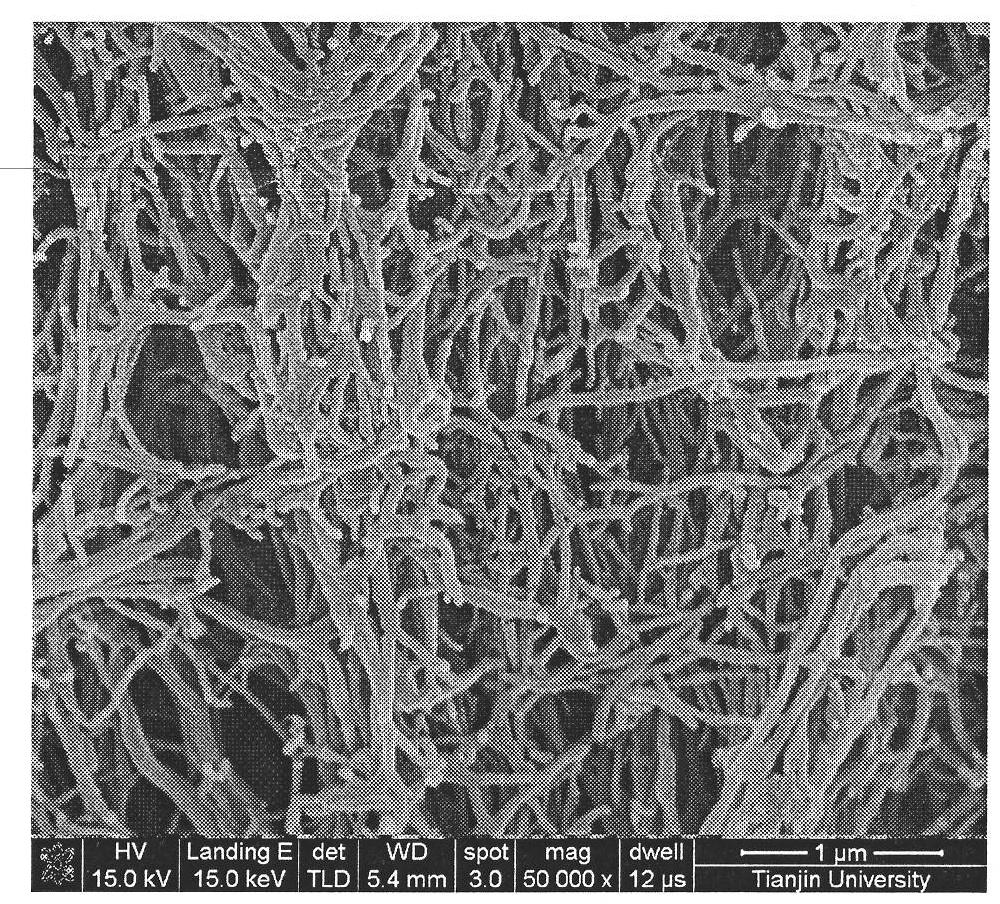 Bacterial cellulose-inorganic nanoparticle hybrid membrane and preparation method thereof