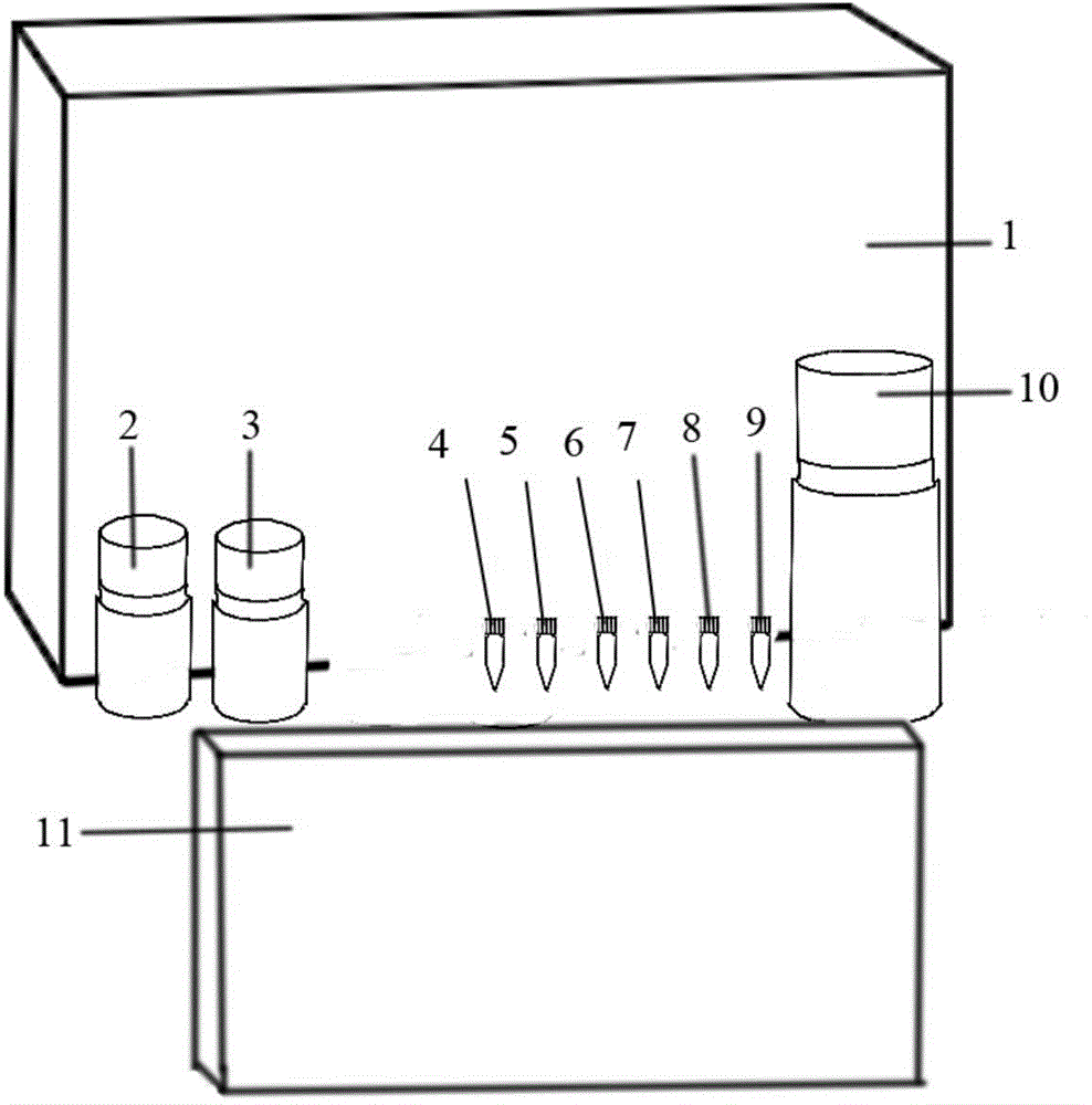 Kit for quantitative detection of specific antibodies of treponema pallidum and preparation method thereof