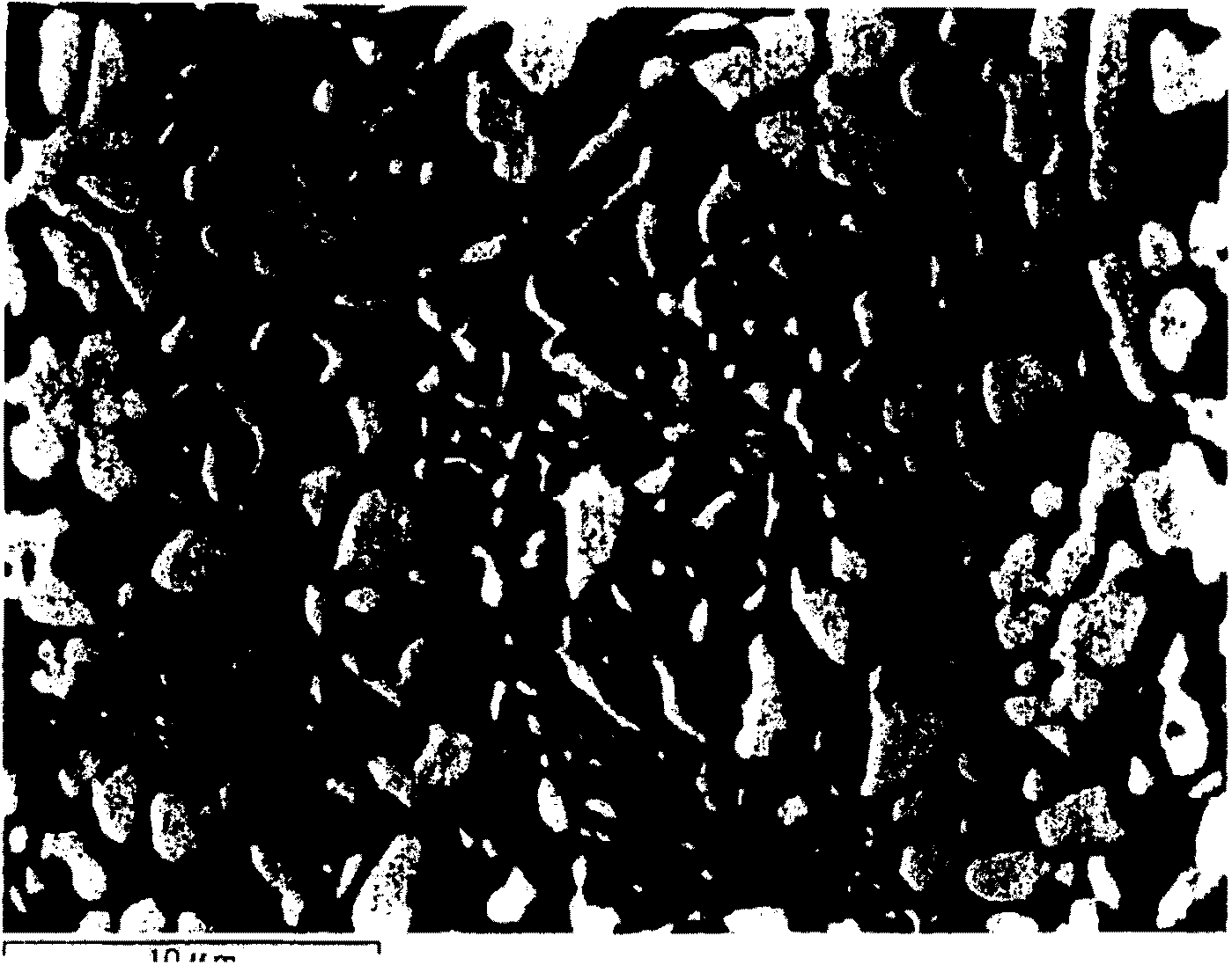 Si-based-alloy anode material