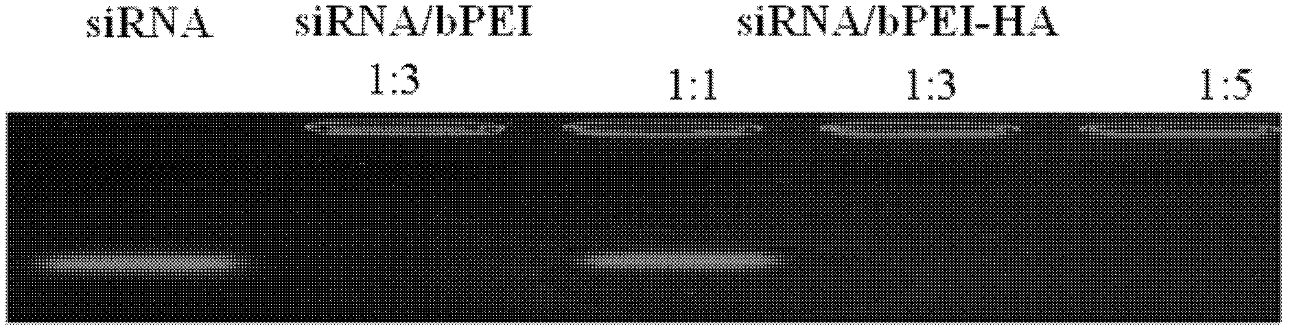 Hyaluronic acid (HA)-polyethyleneimine (PEI) bonded copolymer as well as preparation method and application thereof