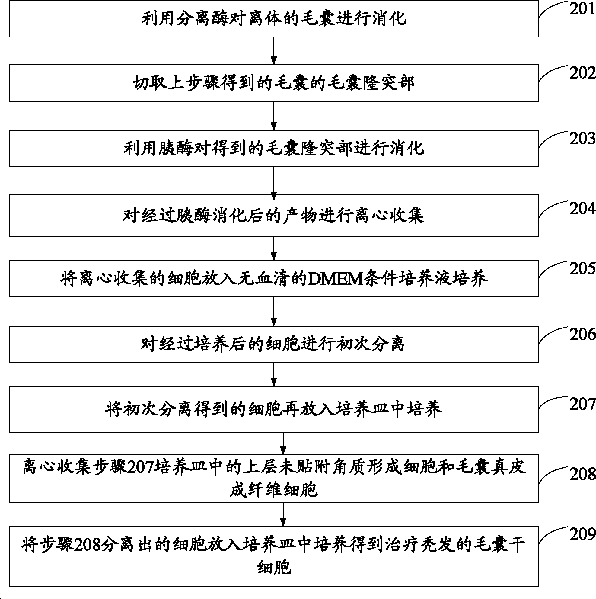 Culture method of hair follicle stem cell for treating baldness, as well as syringe