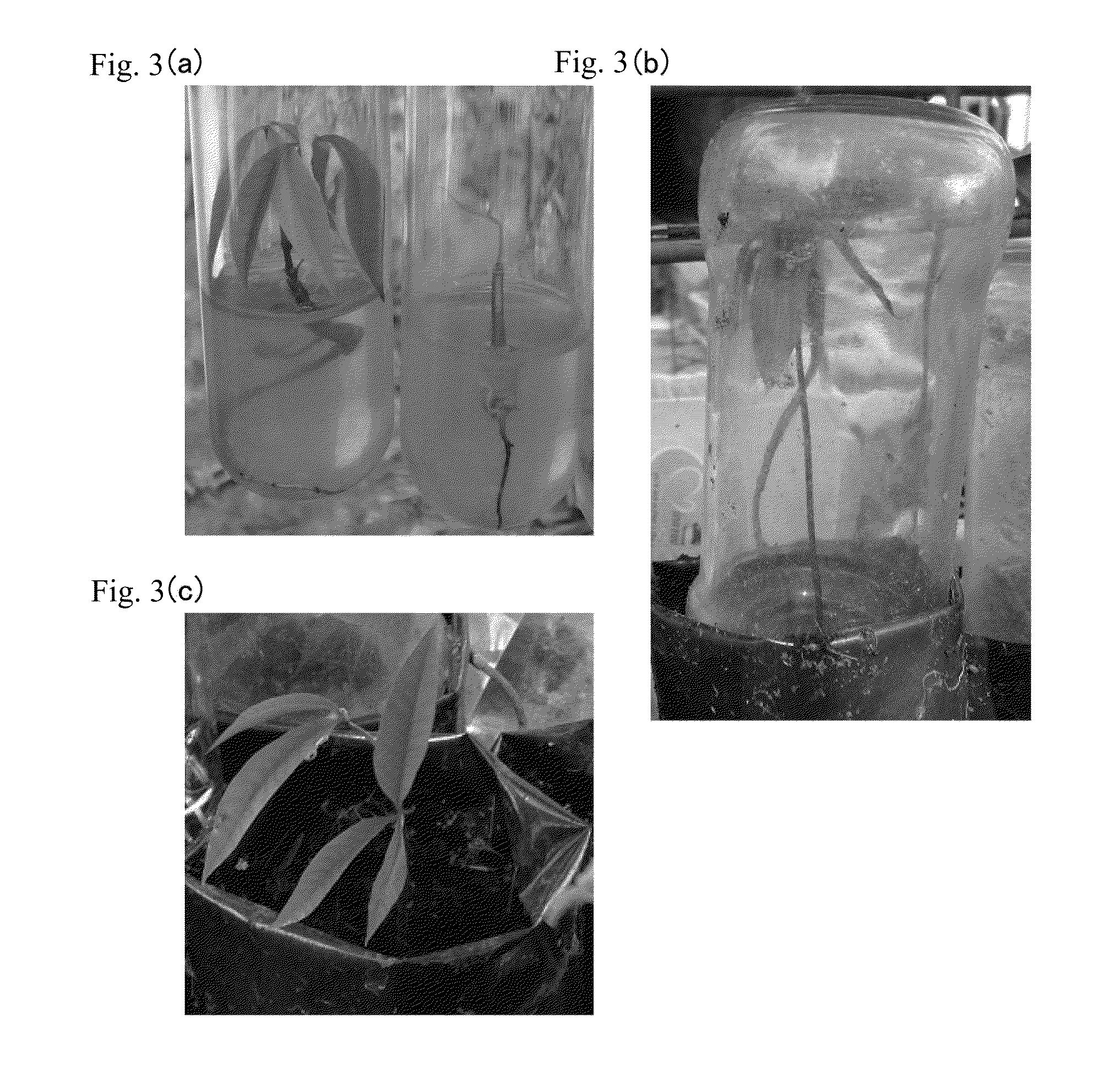 Method of regenerating rubber tree, method of propagating rubber tree, method of inducing shoot, method of elongating shoot, method of rooting shoot, and method of acclimatizing young plant