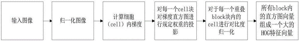 Feature fusion-based vehicle behavior recognition method in urban traffic scene