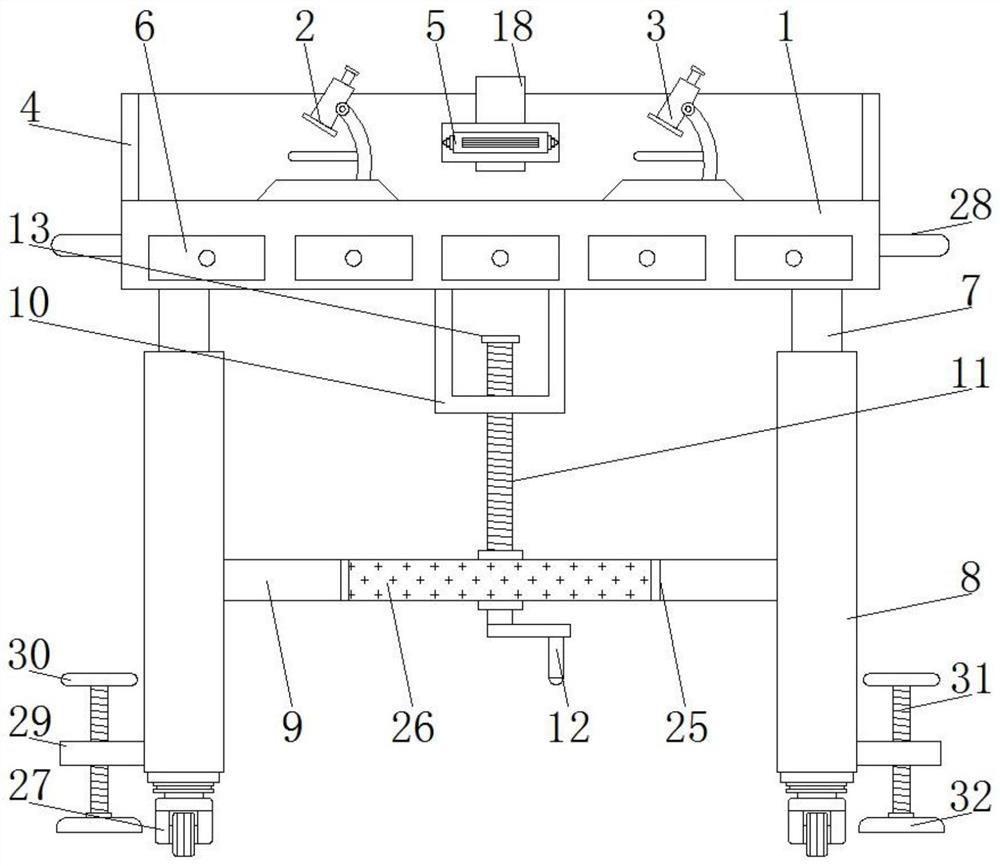 Insect identification workbench