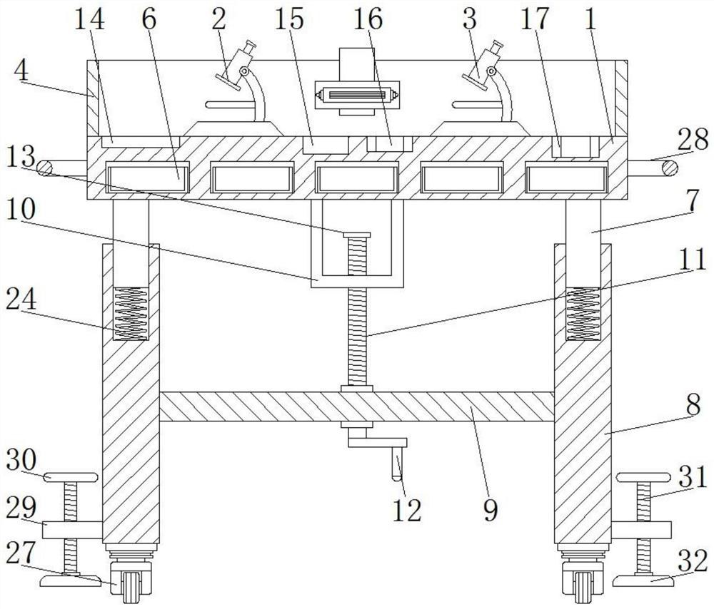 Insect identification workbench