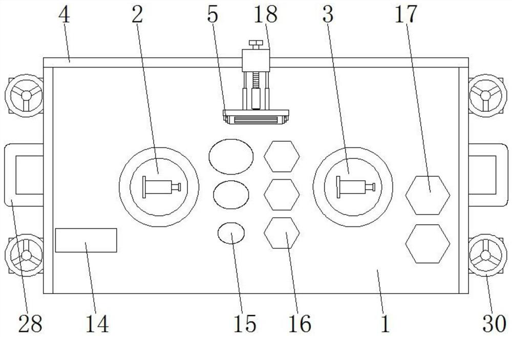 Insect identification workbench